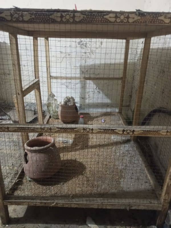 cage panjra parrot for sale no yoz 2