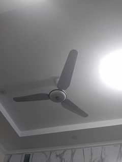 Ceiling fans 8 No's