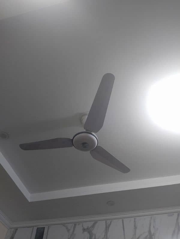 Ceiling fans 8 No's 0