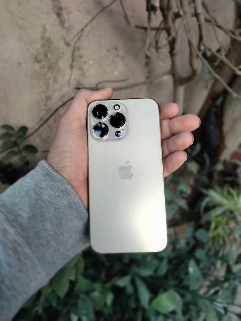 Apple iPhone 13 Pro 0