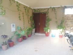 Defence Villa Dha 1 Sector F Islamabad for rent