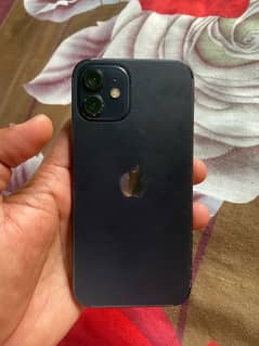 iPhone 12 Non pta urgent sale