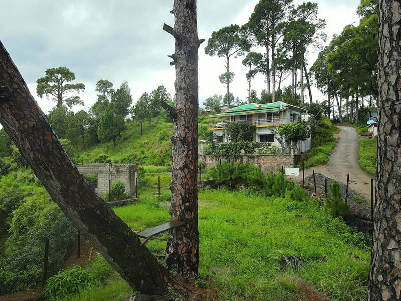 "4 Marla Premium Plot in Murree Resorts – Serenity & Luxury Awaits!" 1