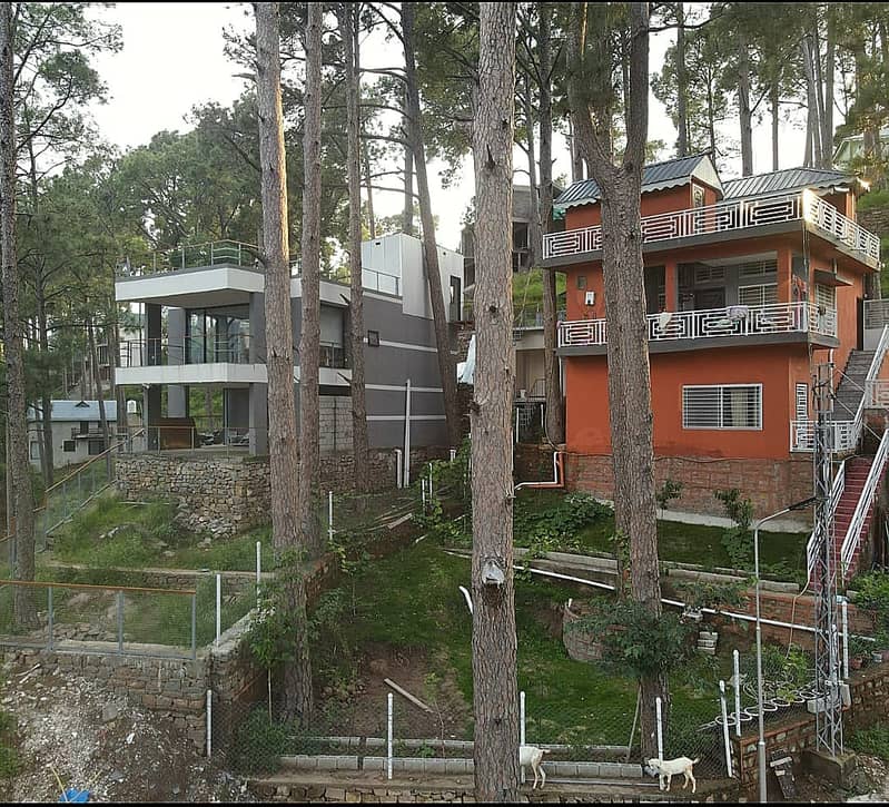 "4 Marla Premium Plot in Murree Resorts – Serenity & Luxury Awaits!" 13