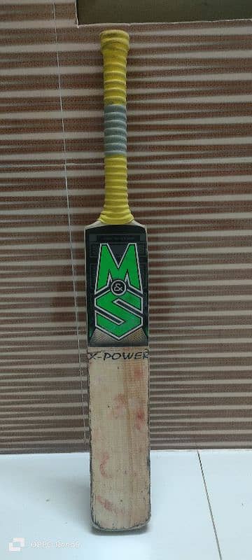 English willow cricket bat 1