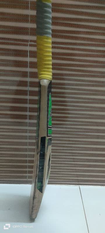 English willow cricket bat 2