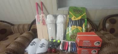 cricket hardball kit