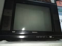 NOBEL 22 inch Screen TV