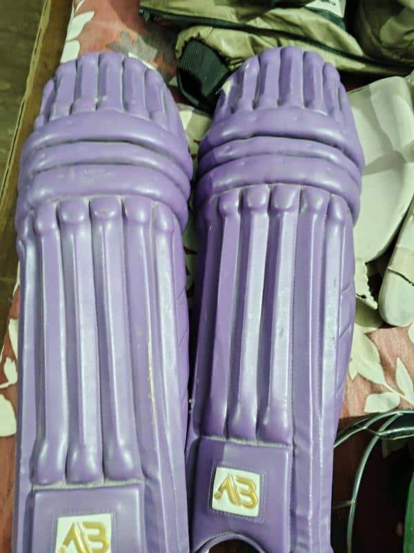 cricket lefti pads good and thigh pad and helmet all good quality 6