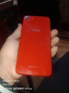 vivo