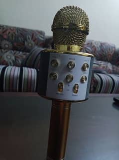 Mic