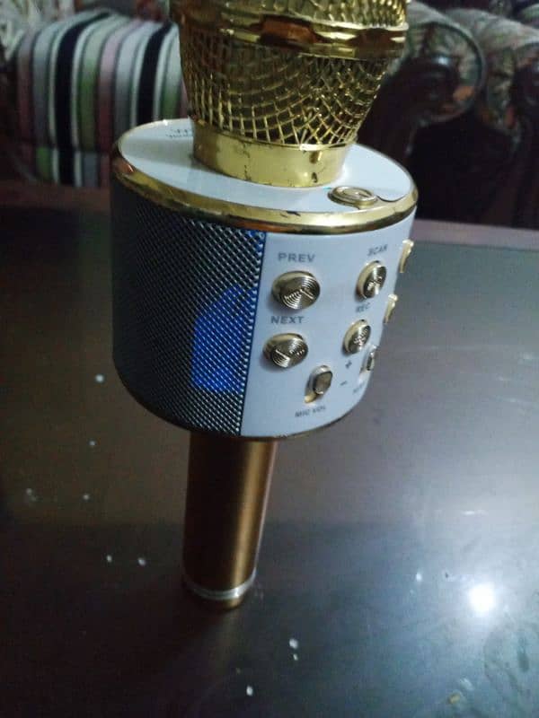 Mic  for kids. 1