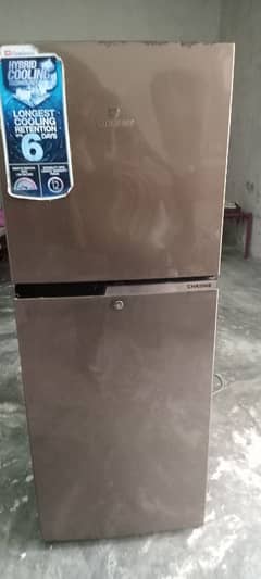 Dowlance medium size fridge totally guanine