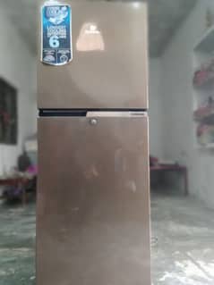 Dowlance medium size fridge totally guanine