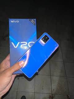 vivo