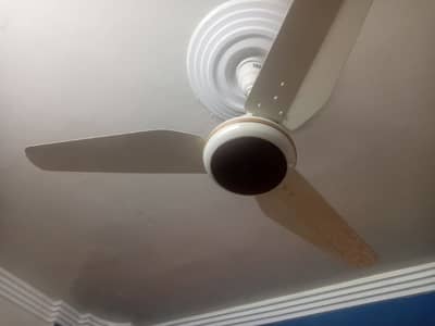 pak fan invertor with remote - Fans - 1098574438