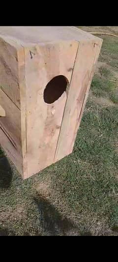 raw breeding box only 1time use shesham wood