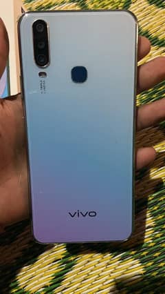 vivo