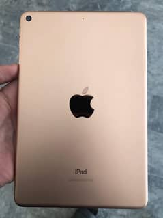 Ipad mini 5 (64gb)