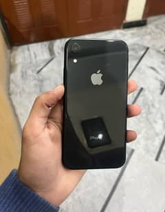 iPhone XR