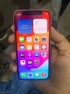 iPhone 12 mini