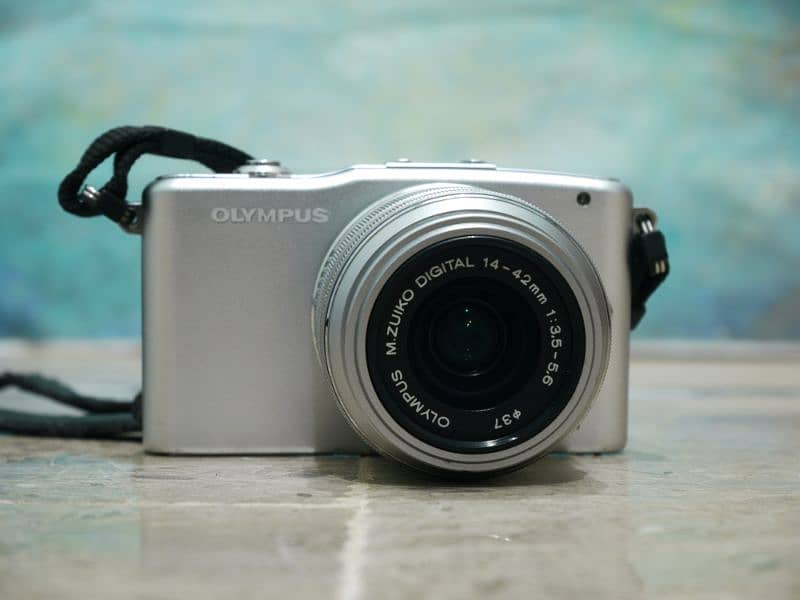 Olympus PEN E-PM1 + M. Zuiko 14-42mm Lens, Full HD 6