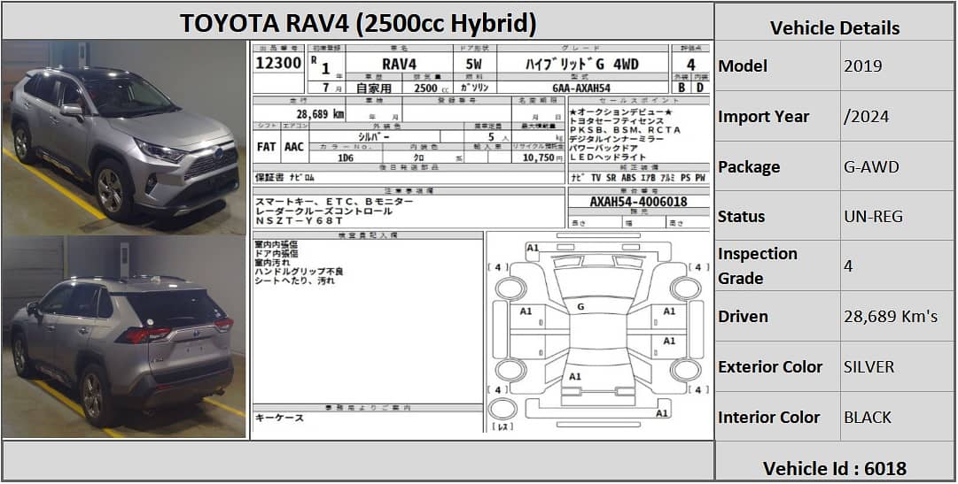 Toyota Rav4 2019 HYBRID 0