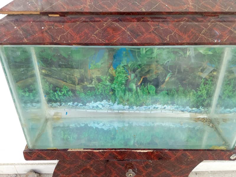 Aquarium for sale 1