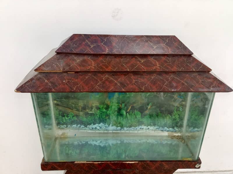 Aquarium for sale 2