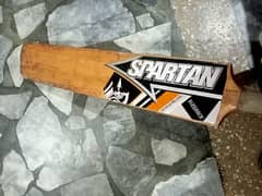 cricket professional bat Spartan