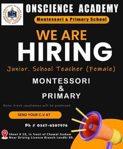 Juniors. School Teacher (Female)