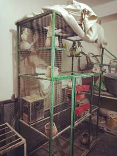 Big cage , cage, birds cage