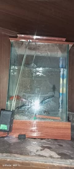 "Aquarium for Sale with Line 2 Blue Shark & Sobo Pump - Great Conditio