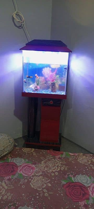 Aquarium all fishes & all accessories 0