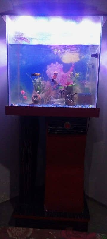 Aquarium all fishes & all accessories 2