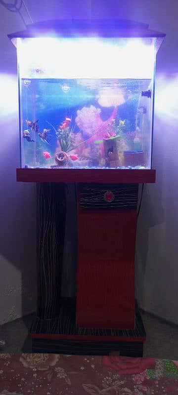 Aquarium all fishes & all accessories 3