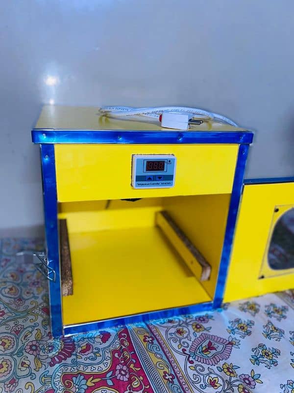 brooder and incubator 5