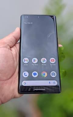 Google pixel 6pro Non zpta