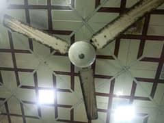 Celing fan