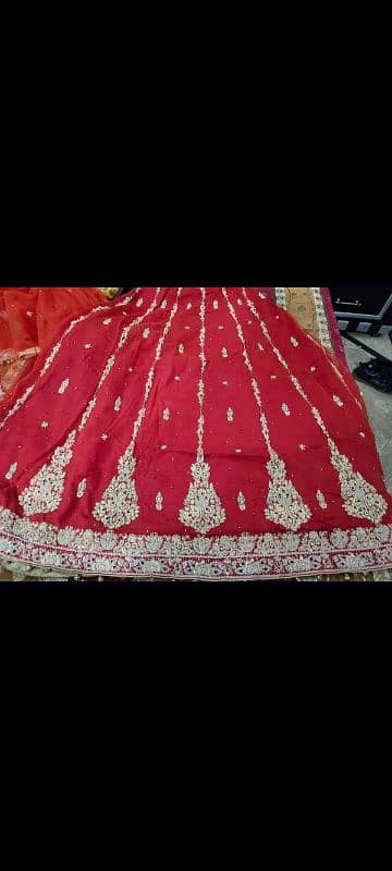 bridle lehenga choli 1