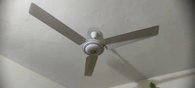 Ceiling fan 46" & 56"