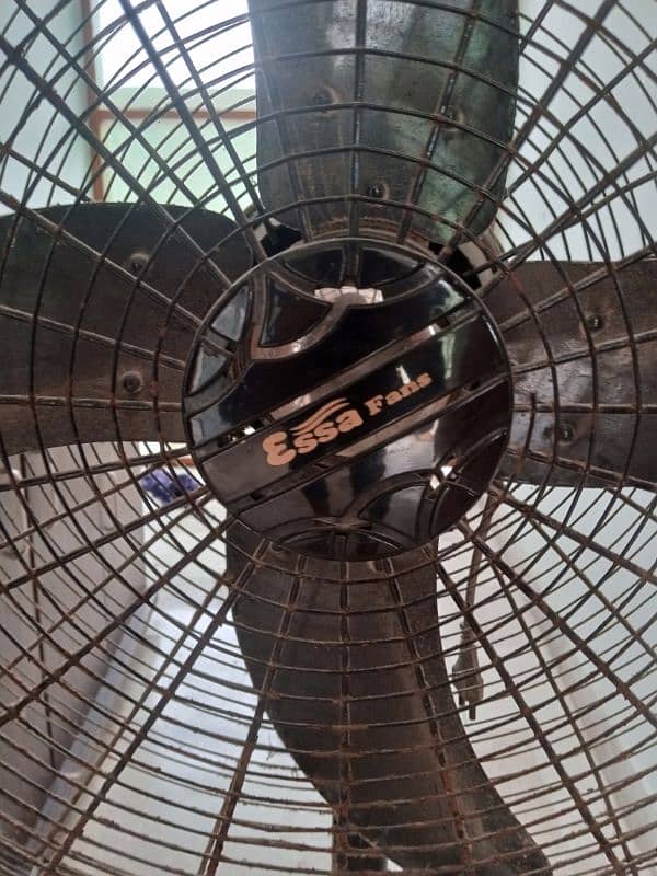 Pedestal Fan 1