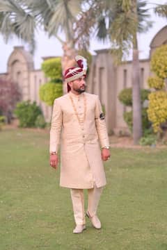 sherwani