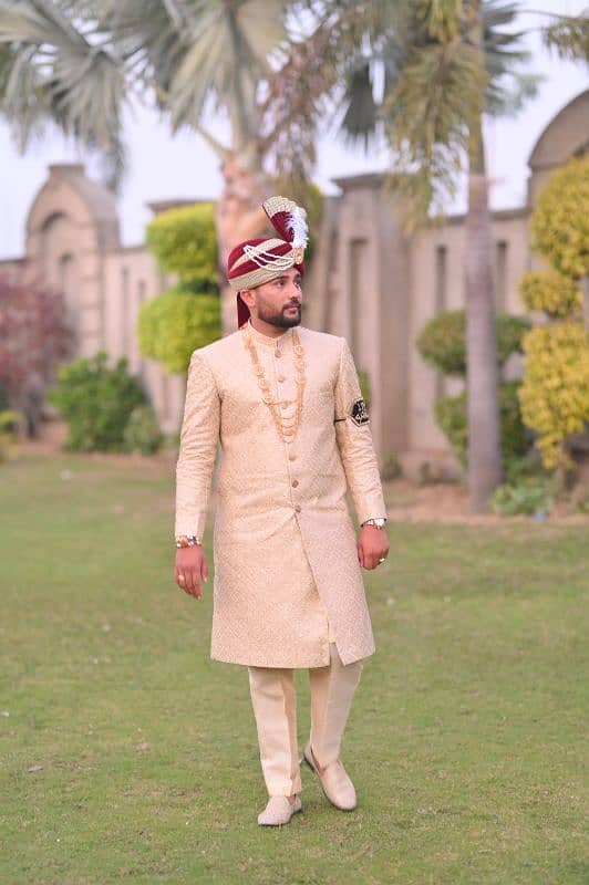 sherwani 0