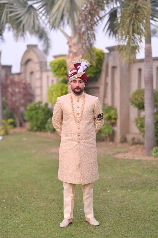 sherwani 2