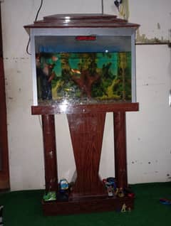 aquarium