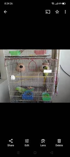 2 cages  only not birds n 6 mtkeyan for sale just in 4000