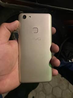 vivo