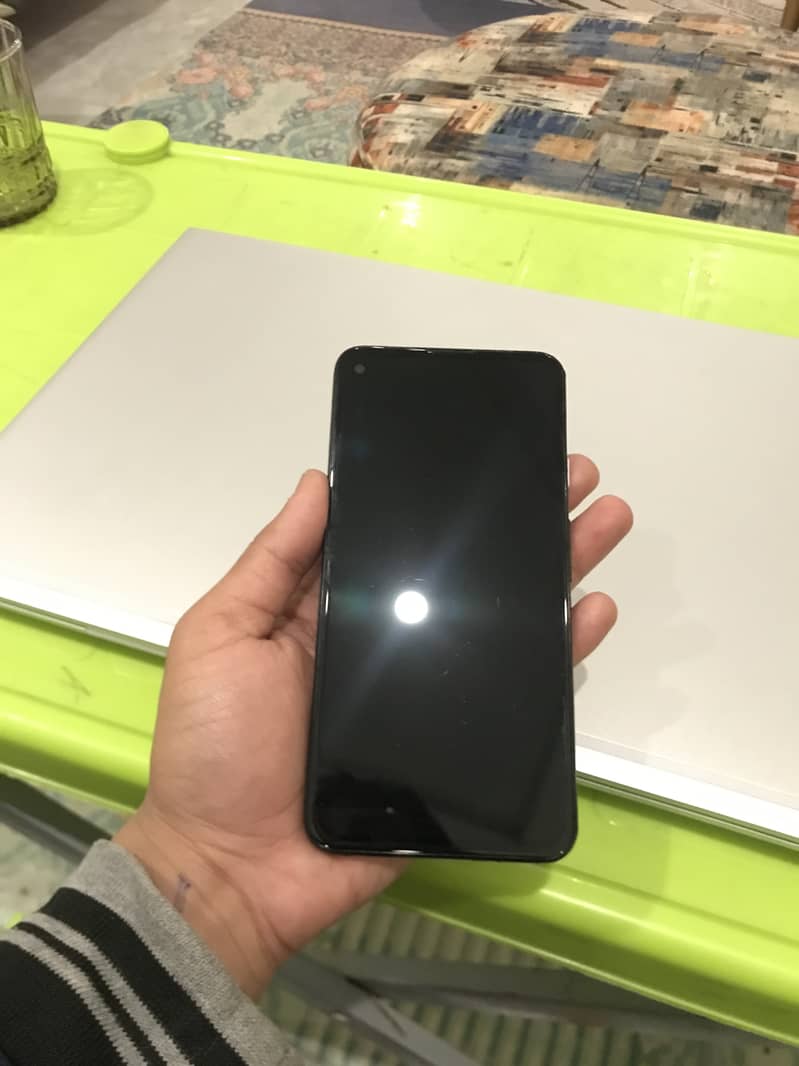 Pixel 4a5G Panel dead 1