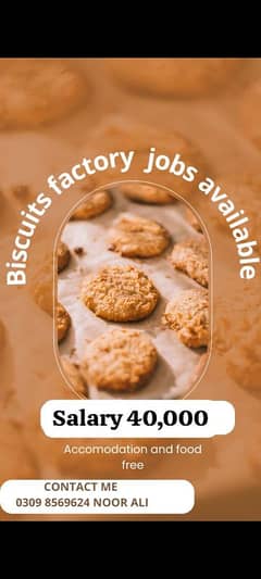 needs staff innovative biscuits factory jobs available in Lahore